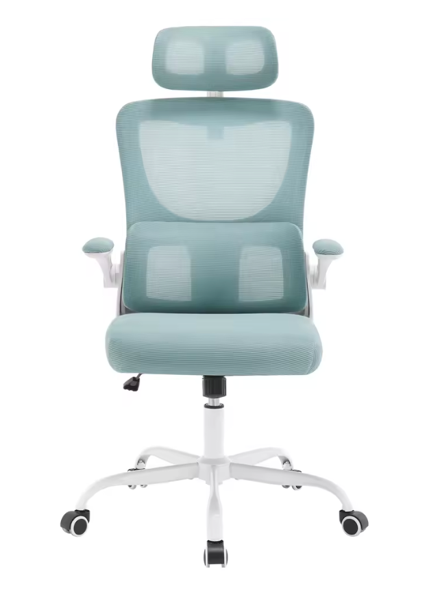 Chaise de bureau MyErgoSphere coloris vert dossier haut anatomique
